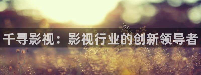 新视觉影院官网电视：千寻影视：影视行业的创新领导者